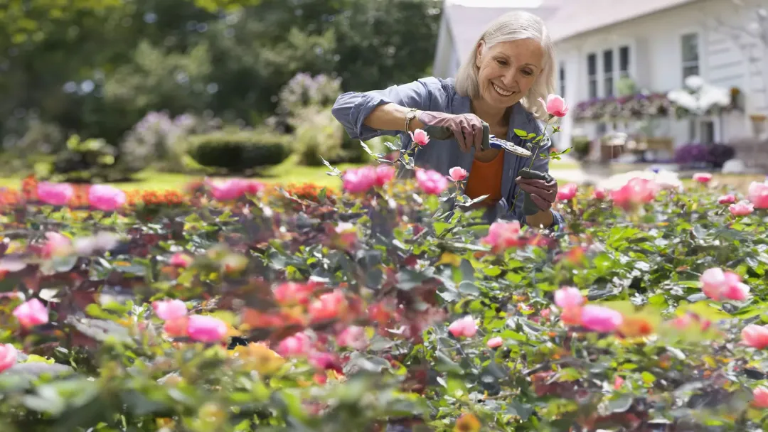 woman outside working in the garden