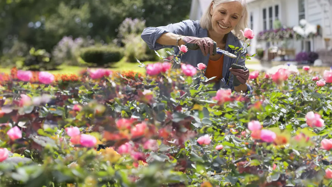 lp-hero-desktop-orthopedic-hand-eastflorida-woman-in-the-garden