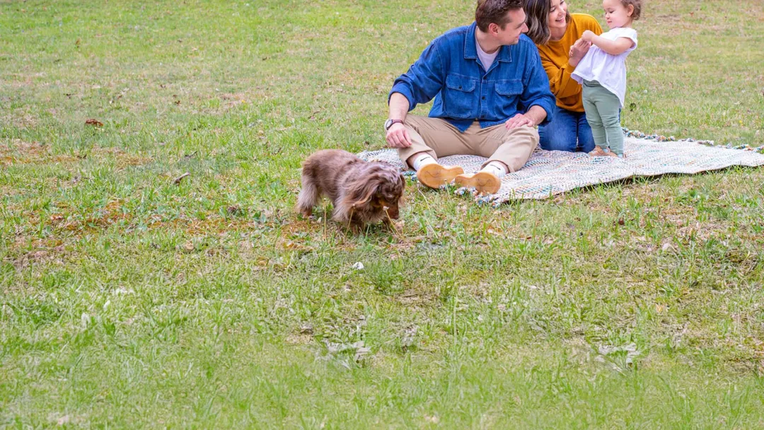 Family having a picnic outdoors