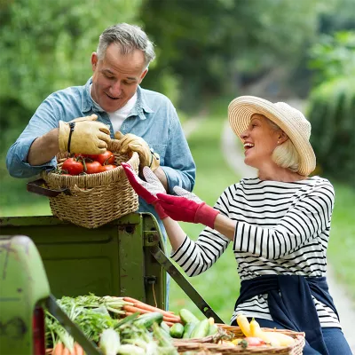 lp-circle-digestive-colorectal-west-couple-with-tomato-basket