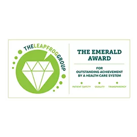 LP-Award-badge-Leapfrog-The-Emerald-Award-Florida