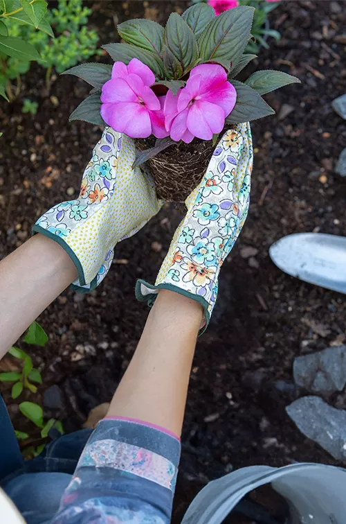 gardening-with-pink-flowers