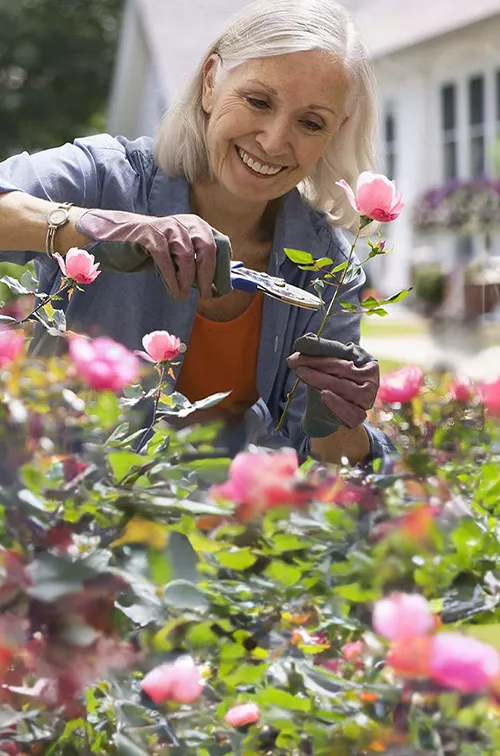 lp-hero-desktop-orthopedic-hand-eastflorida-woman-in-the-garden